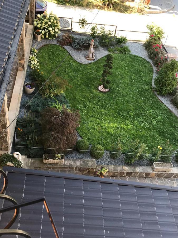 Pensiunea Montana Borsa Mm Băile Borşa Exterior foto